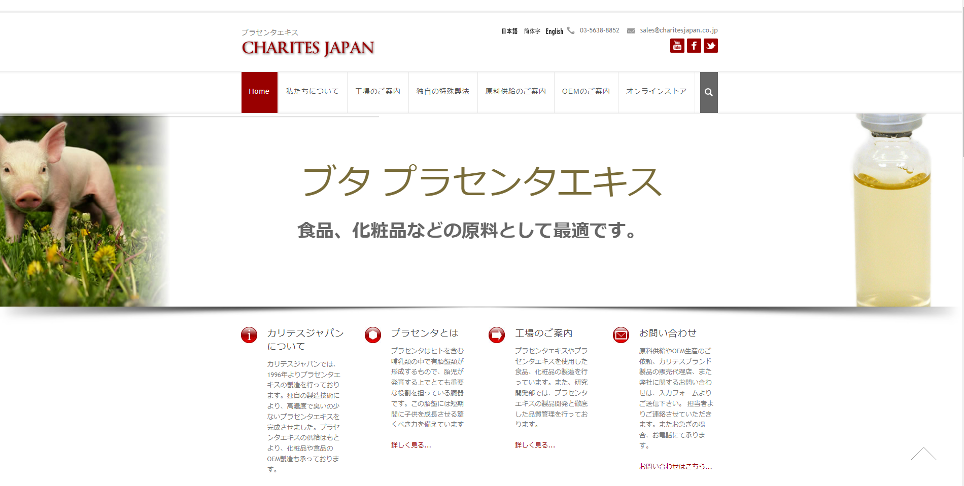 カリテスジャパンイメージ