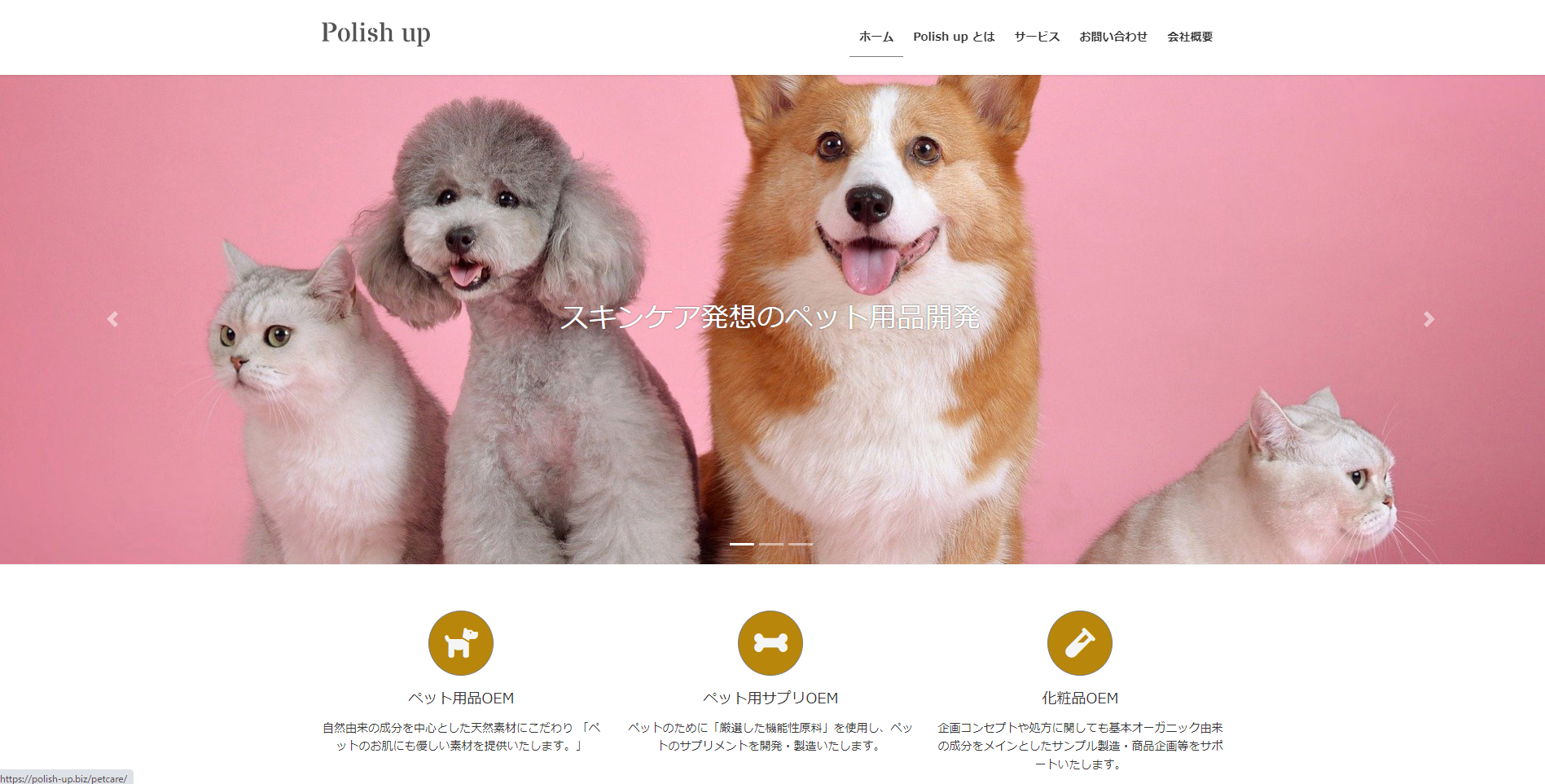 Polish upイメージ