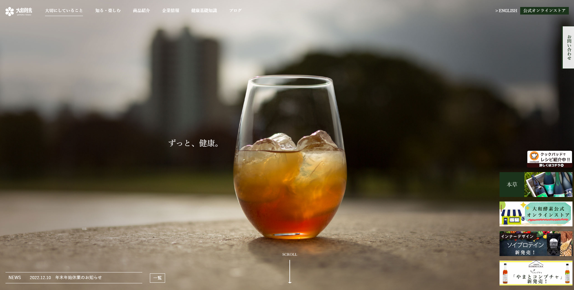 大和酵素イメージ